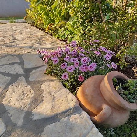 아파트 Bernarda *