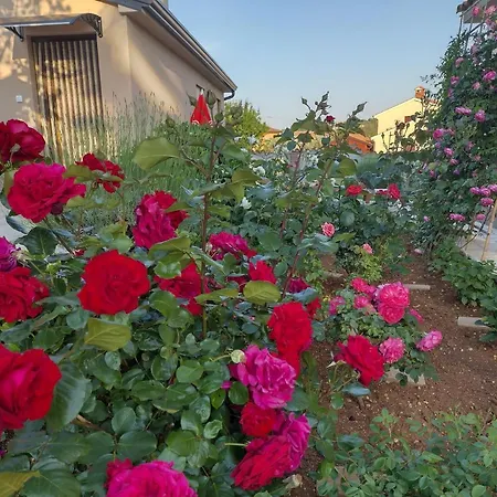 Bernarda Апартаменти *