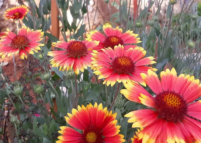 アパート Bernarda