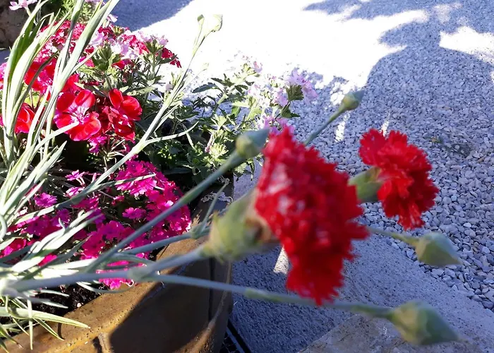 アパート Bernarda *