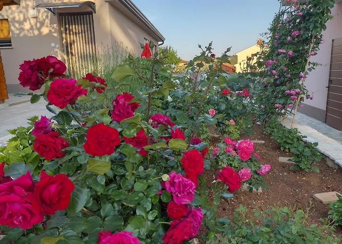 Bernarda Lejlighed *