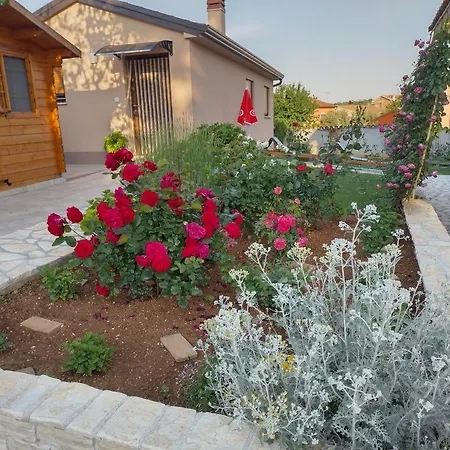 Bernarda * بوريتش